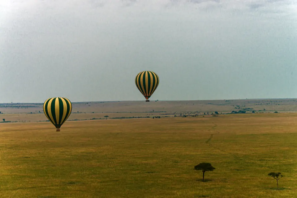 Balloon safaris