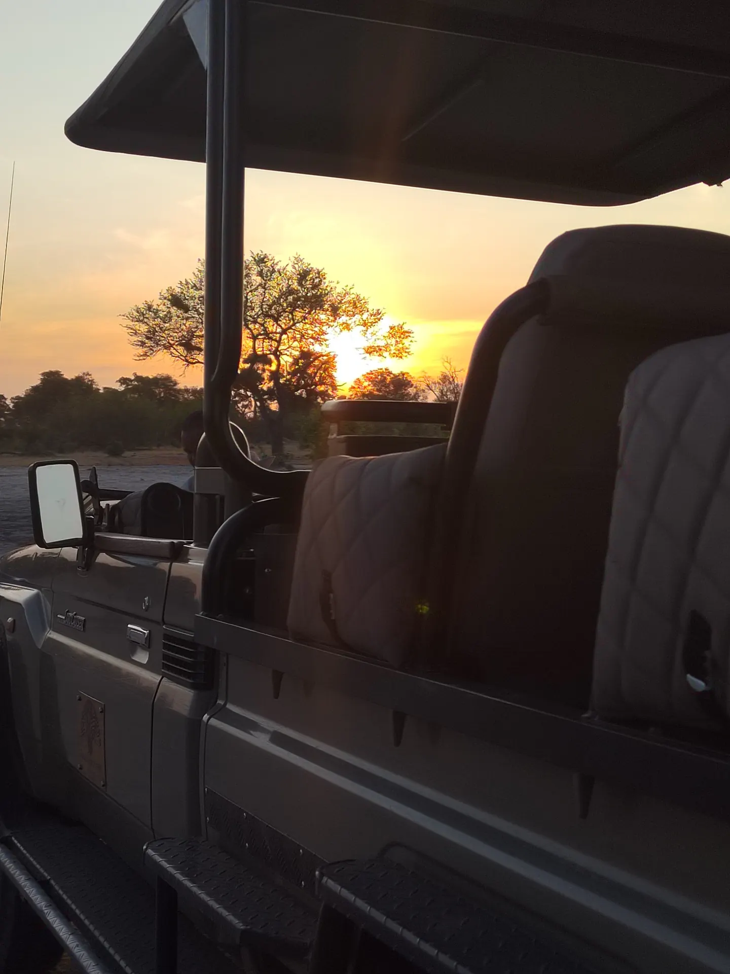 The sun sets behind a tree, seen past the seats of an open game vehicle
