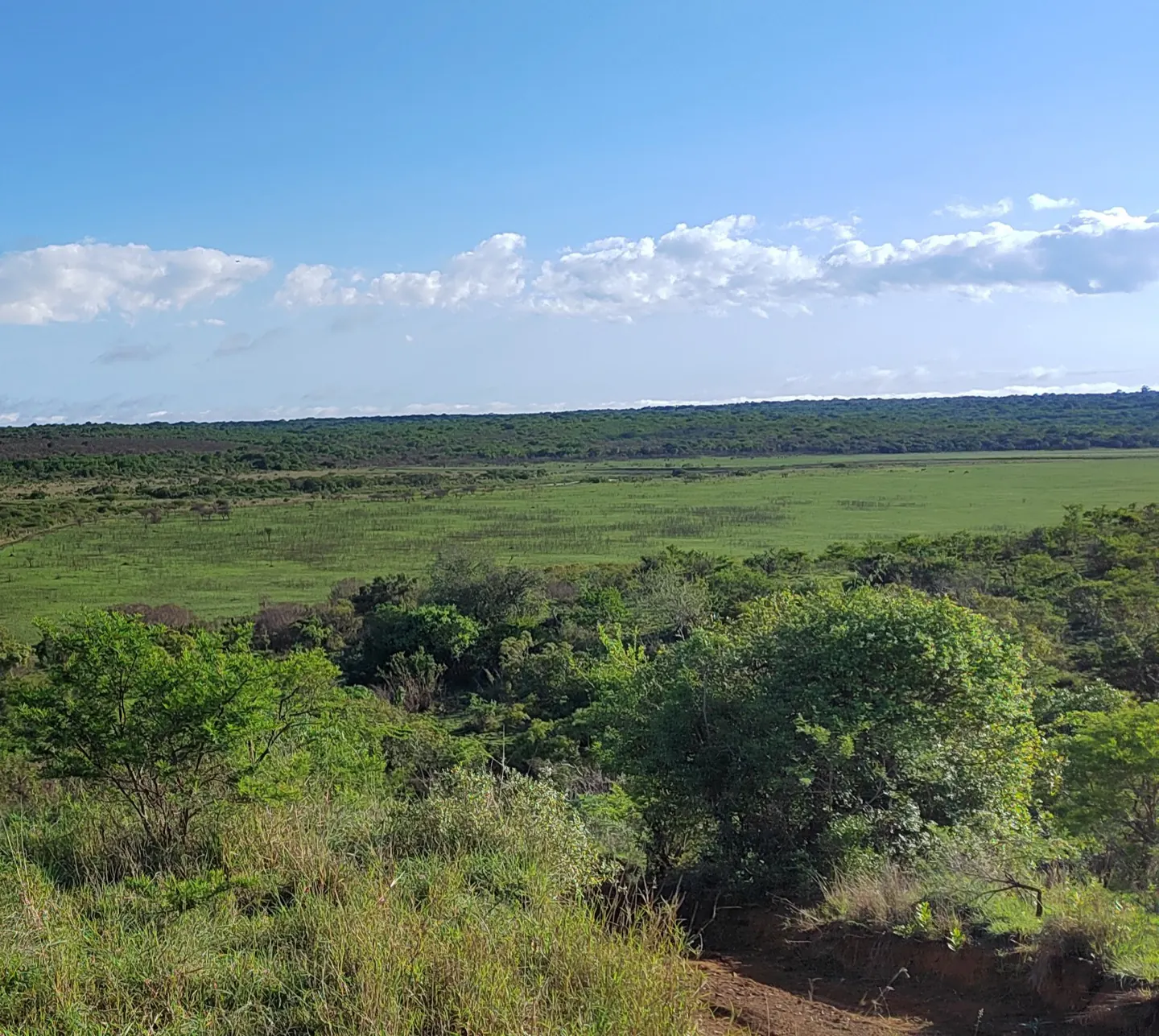 A river winds through green floodplain and bush below a hilltop viewpoint