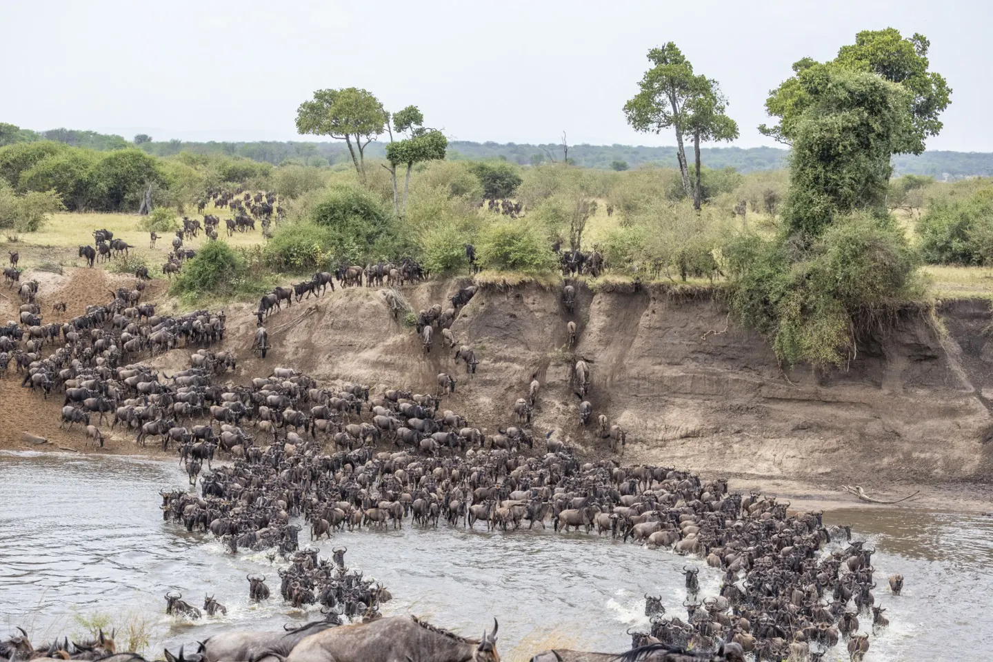 The Great Migration — Kenya and Tanzania