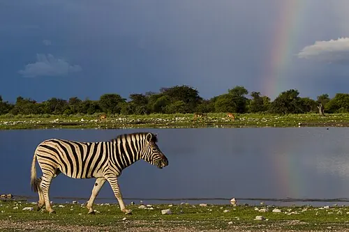 Namibia — Light, space and silence